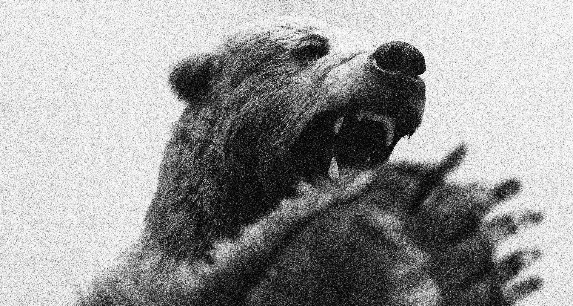 Page 404, Revenez sur la page d'accueil